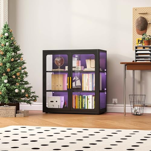 Collectible Collection - Display Cabinet with Glass Doors and