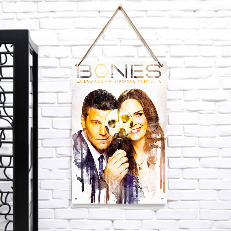 Bones Season 12 Poster Metal T - огляд і ціна Vintage Collectible Tins